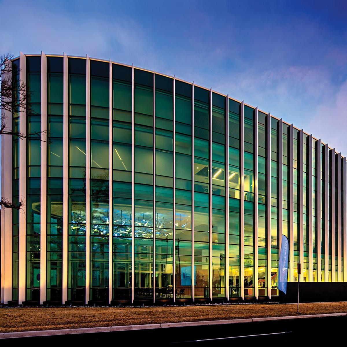 ADHD And The  Brain Dallas TX